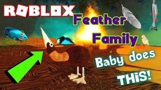 ROBLOX FEATHER FAMILY Going Fishing with the PELICAN + THE BABY CAN DO THIS  Emotes