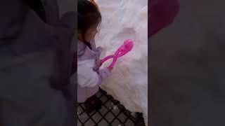 Snow Duck Maker