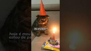 Hoje é meu aniversário 