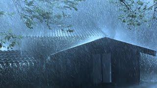 Quality Sleep with Powerful Rainstorm Sounds & Thunder Shaking on Fragile tin roof in Dark Forest