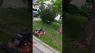 Threw Away His Lawn Mower