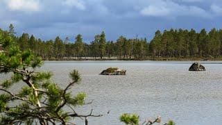 Fottur i Øvre Pasvik og Piilola tre døgn midt i juni