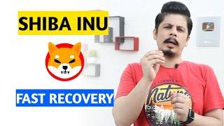 Shiba Inu Fast Recovery