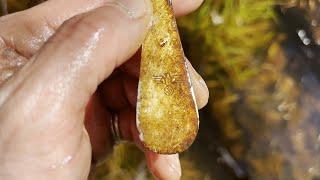 КОП по ВОЙНЕ. ШИКАРНАЯ НАХОДКА у БИТОЙ ЯМЫ БИТОГО БЛИНДАЖА  #metaldetecting