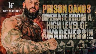 Operate From a High Level of Awareness Prison Gangs