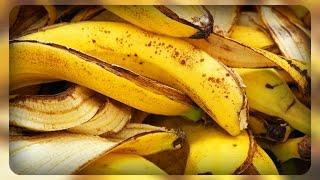 банановая подкормка супер удобрение
