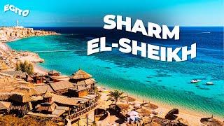 COMO SÃO OS RESORTS EM SHARM EL-SHEIKH?  Rodrigo Ruas