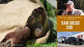 San Diego Zoo Reservations and Tours #sandiegoactivities #sandiegocalifornia