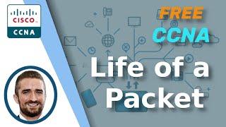 Free CCNA  The Life of a Packet  Day 12  CCNA 200-301 Complete Course