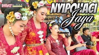Lagu Nyipohaci Jaya Pesinden Mamah Ayu Pertunjukan Pongdut Nyipohaci di Kec Belanakan Kab Subang