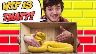 Whats In The Box Challenge With Marss