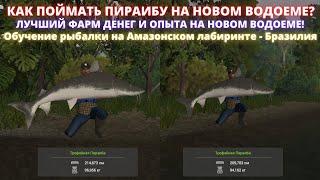 Fishing Planet  КАК ПОЙМАТЬ ПИРАИБУ НА АМАЗОНСКОМ ЛАБИРИНТЕ? ЛУЧШИЙ ФАРМ ДЕНЕГ И ОПЫТА НА ВОДОЕМЕ