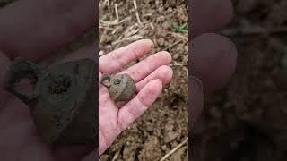 finding my first complete crotal bell #detecting #treasure