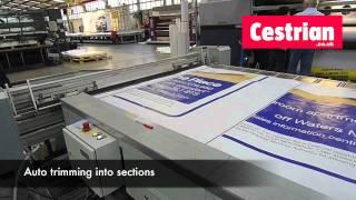 Cestrian billboard poster printing