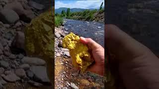 Grains of Gold along the Whole River