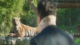 Mr  Zoo  The Missing VIP Tiger Sing Kim Jong Kook Song Scene in The Zoo