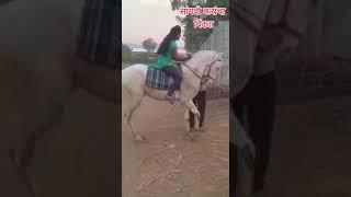 Indian girl on dancing horse #horsegirl #horse #ghoda #horselover #ghodi #horses #horseriding #viral
