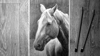 Как нарисовать лошадь карандашом