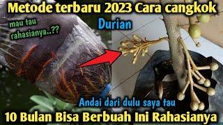 Just 10 months already bearing fruit  The newest way to graft durians so that they bear fruit