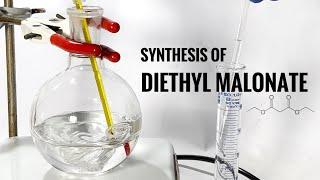 Diethyl Malonate  Synthesis via Fischer Esterification