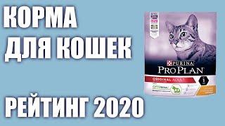 ТОП—7. Лучшие корма для кошек сухие и влажные. Рейтинг 2020 года