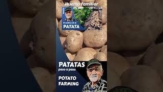 EL CULTIVO DE LA PATATA POTATO FARMING #shorts #shortsyoutube