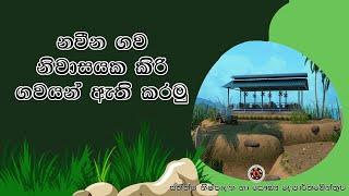 නවීන ගව නිවාසයක ගවයන් ඇති කරමු