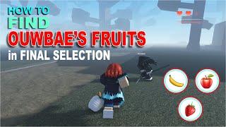 How to find Ouwbaes Fruits in Final Selection of PROJECT SLAYERS  Apple Banana Strawberry Location