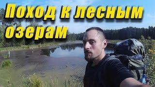 Одиночный поход к лесным озерам. Ночной переход по лесу. Пора в поход