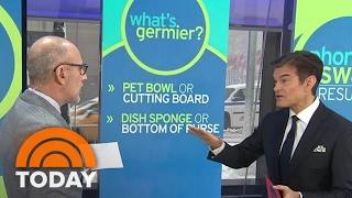 Dr. Oz Reveals Where Germs Lurk Pet Bowls Sponges Cellphones  TODAY