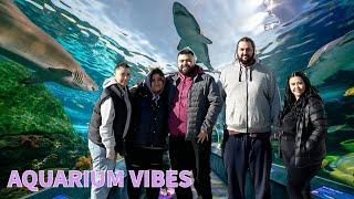 Visiting The Aquarium- Vlog