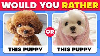 Would You Rather...? Animals Edition  Great Quiz