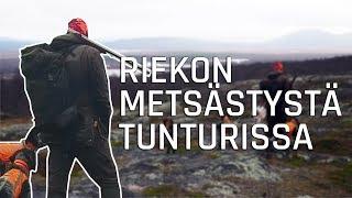 RIEKON METSÄSTYSTÄ POHJOIS-RUOTSISSA