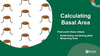 Calculating basal area