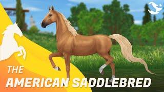 American Saddlebred   Star Stable Horses