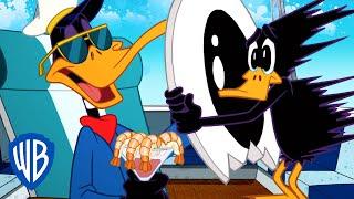 Looney Tunes  Silly Daffy  WB Kids