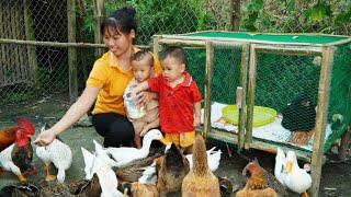 Single Mom - Harvest Taro goes to the market sell Cook porridge for two children  Lý Thị Ngoan