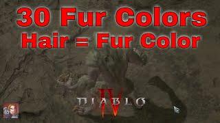 Diablo IV - Choosing Your Shapeshifted Color Patterns Hair Color