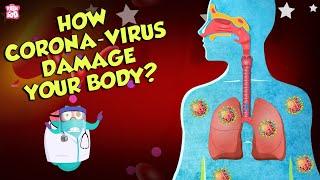How Corona Virus Affects Your Body?  COVID-19  The Dr Binocs Show  Peekaboo Kidz