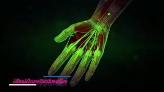 Nerve Compression Syndrome - Rife Healing Frequency  15 Min Isochronic Binaural Beats Music