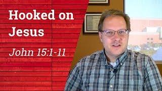 What It Means to Abide in Christ & How to Do It  John 151-11