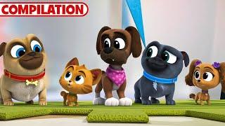 Best of Puppy Dog Pals Season 5  51 Minutes  Compilation  Disney Junior