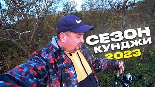 Попробую открыть сезон кунджи ...