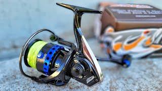 $99 Daiwa Fuego Killer??