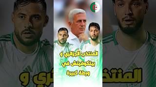 ما رأيكم  و هل سيجد الحل بيتكوفيتش ؟️ لايك و متابعة للقناة اذا انت جزائري #الجزائر #algerie