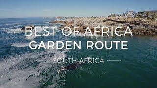 Discover the Garden Route - Best of Africa  Rhino Africa