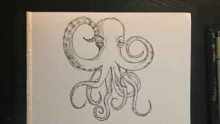 How to draw an octopus  Ahtapot resmi nasıl çizilir  Ahtapot çizimi