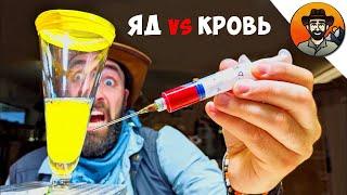 ЧЕЛОВЕЧЕСКАЯ КРОВЬ vs ЯД ЗМЕИ  Койот Питерсон на русском