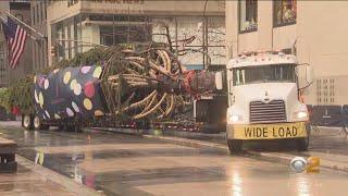 Rockefeller Center Christmas tree arrives