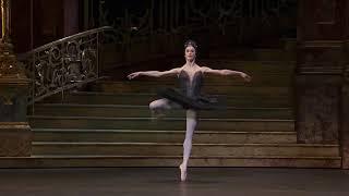 Coda Swan Lake ROH -Marianela Nuñez fouettes